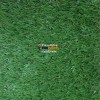 30mm-cagla-green-cim-hali
