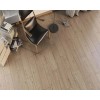 Agt Concept Neo 10mm Laminat Parke
