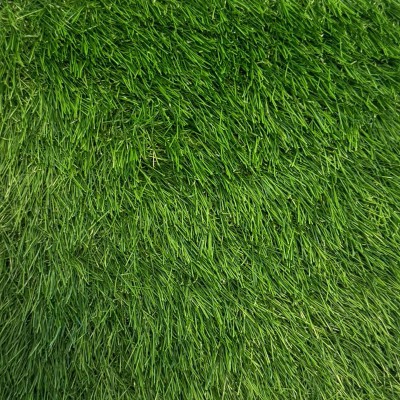 50mm-green-cim-hali