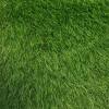 50mm-green-cim-hali