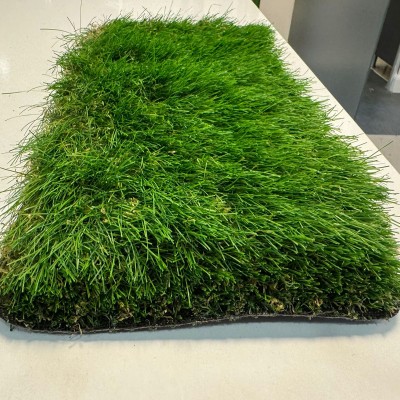 60-mm-miami-cim-hali