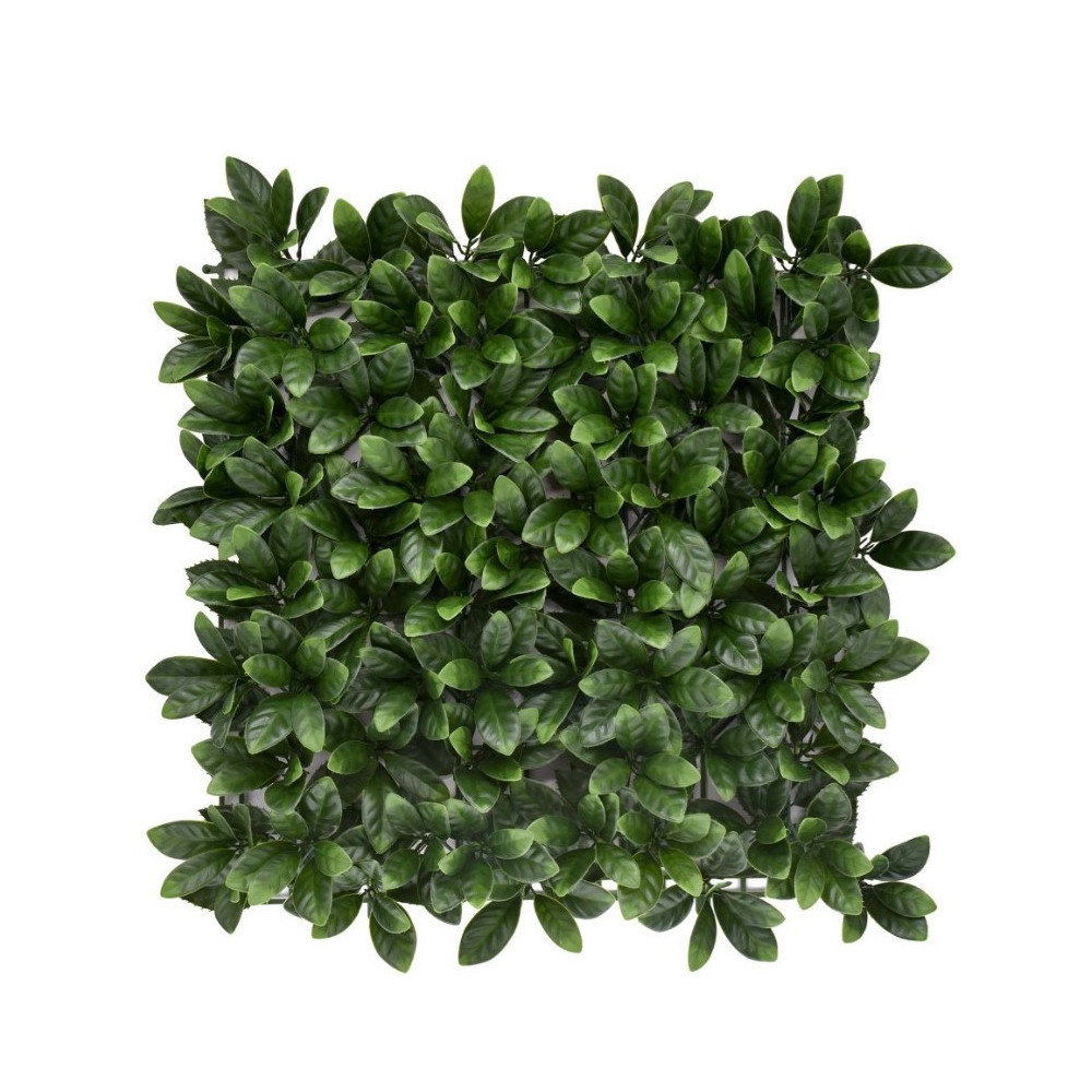 Yeşil Bougainvillea Çim Duvar Bitkisi 50×50 Panel