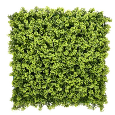 Houttuynia Cordata Çim Duvar 50×50 Panel | Ferah Yeşil Duvar