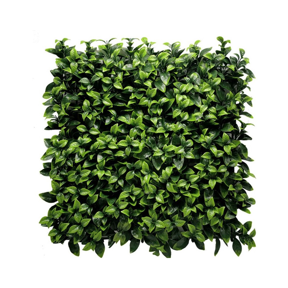 Gardenia Çim Duvar 50×50 Panel | Doğal Görünümlü Yeşil Duvar