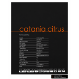 Catania 90 Karo Halı 50x50 cm | Dayanıklı Modüler Ofis ve Ev Halısı